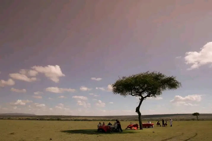 Kenya safari landscape and wildlife