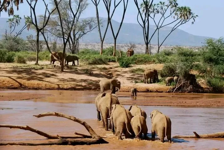 Tsavo wilderness and wildlife